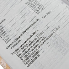 Cargar imagen en el visor de la galería, BIBLIA RVR1960 LETRA GRANDE TAMAÑO MANUAL (TAPA IMITACIÓN PIEL -