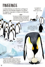 Cargar imagen en el visor de la galería, Mi primer libro de la naturaleza - Camilla de la Bedoyere - Jane Newland