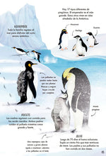 Cargar imagen en el visor de la galería, Mi primer libro de la naturaleza - Camilla de la Bedoyere - Jane Newland