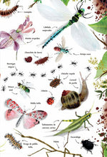 Cargar imagen en el visor de la galería, Mi primer libro de la naturaleza - Camilla de la Bedoyere - Jane Newland