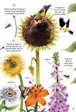 Cargar imagen en el visor de la galería, Mi primer libro de la naturaleza - Camilla de la Bedoyere - Jane Newland