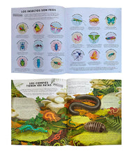 Cargar imagen en el visor de la galería, Todo lo que sabes sobre los insectos está equivocado - Nick Crumpton - Gavin Scott