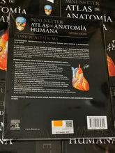 Cargar imagen en el visor de la galería, Mini Netter- Atlas De Anatomía Humana 7° Ed. Nuevo/original