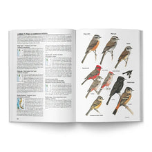 Cargar imagen en el visor de la galería, Aves de Chile - Álvaro Jaramillo