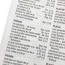 Cargar imagen en el visor de la galería, BIBLIA RVR1960 LETRA GRANDE TAMAÑO MANUAL (TAPA VINILO COLOR BURDEO)
