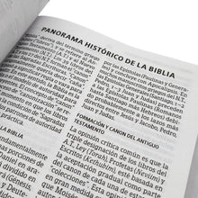 Cargar imagen en el visor de la galería, BIBLIA RVR1960 LETRA GRANDE TAMAÑO MANUAL (TAPA IMITACIÓN PIEL - CENIZA)
