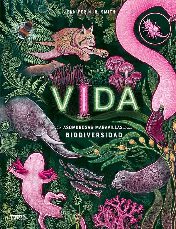 VIDA - JENNIFER N.R. SMITH