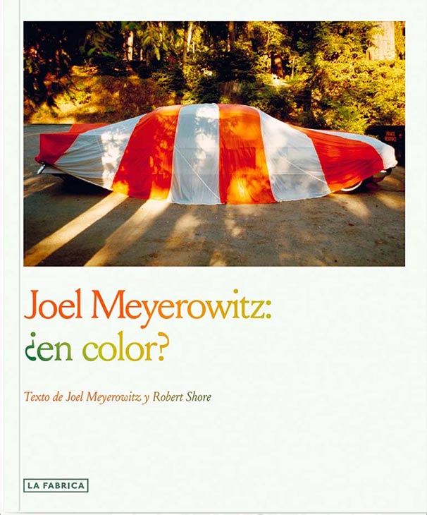 JOEL MEYEROWITZ ¿EN COLOR? - JOEL MEYEROWITZ