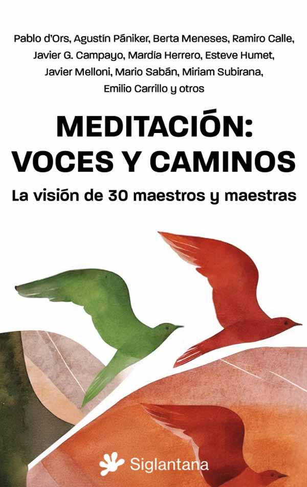 MEDITACION VOCES Y CAMINOS - PABLO D´ORS