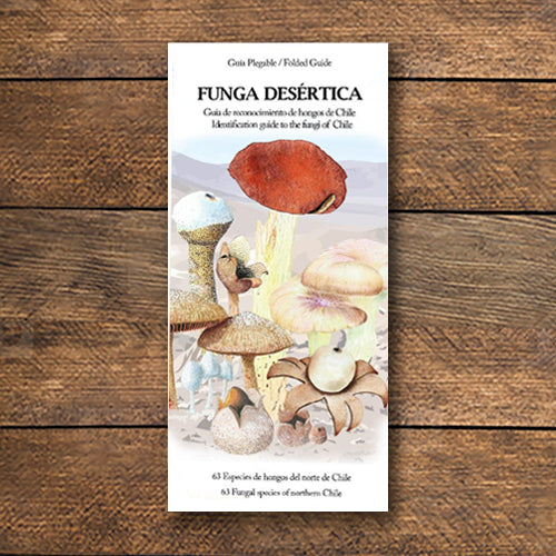FUNGA DESERTICA