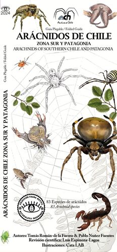 ARACNIDOS DE CHILE .ZONA SUR Y PATAGONIA