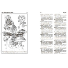 Cargar imagen en el visor de la galería, Dicc. escolar de la lengua- M. Isabel Elizalde, M. Soledad Lepe, Pia Muso, A. Mujica
