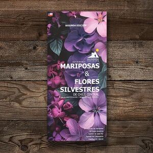 MARIPOSAS Y FLORES SILVESTRES