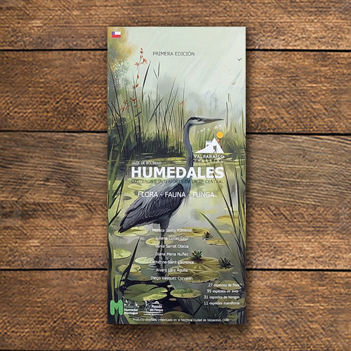 HUMEDALES CHILE CENTRAL