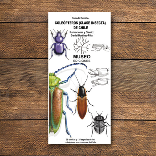 COLEOPTEROS DE CHILE