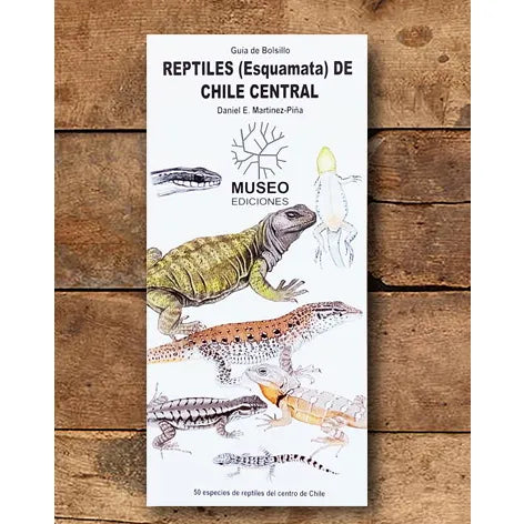 REPTILES DE CHILE CENTRAL