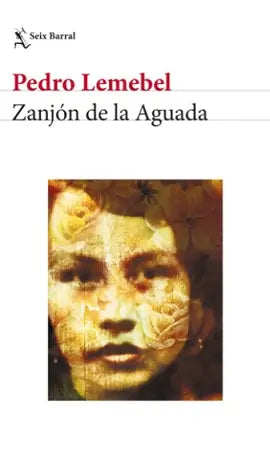 ZANJON DE LA AGUADA - Pedro Lemebel