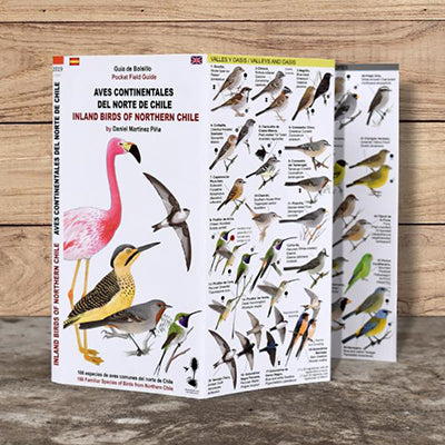 AVES CONTINENTALES DEL NORTE CHILE
