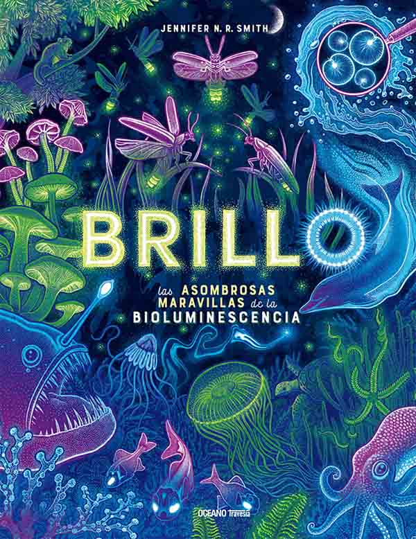 Brillo - Jennifer N. R. Smith