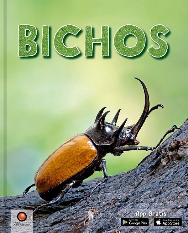 Bichos - Elizabeth Cranford