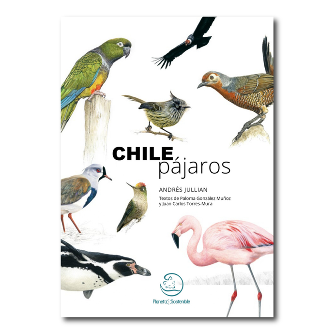 CHILE PAJAROS