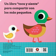 Cargar imagen en el visor de la galería, Este pequeño patito. Toca y siente - Ingela P Arrhenius
