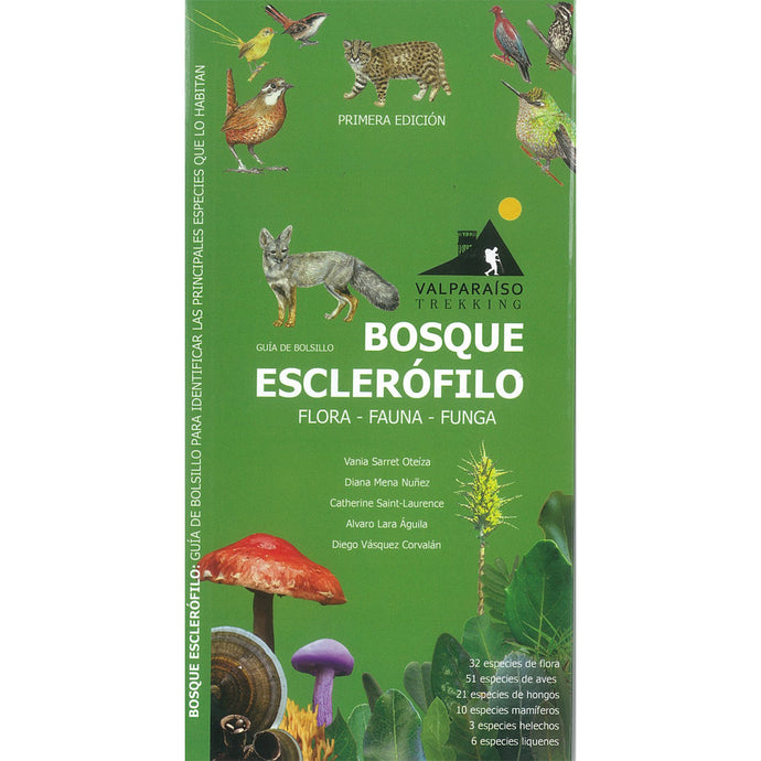 BOSQUE ESCLEROFILO