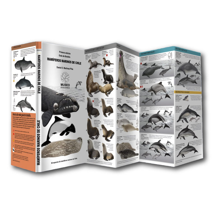 MAMIFEROS MARINOS DE CHILE