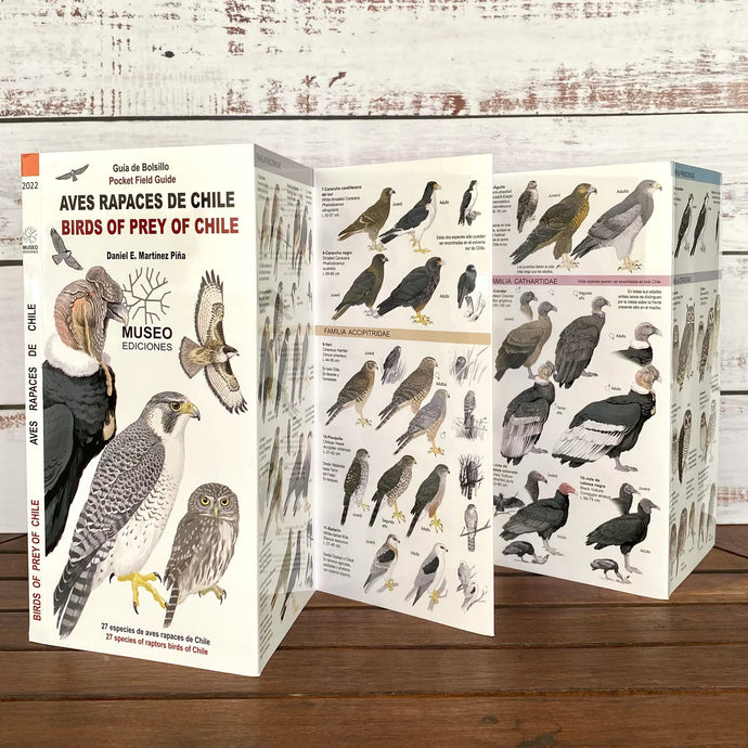 AVES RAPACES DE CHILE