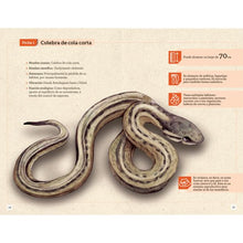 Cargar imagen en el visor de la galería, Bichología
