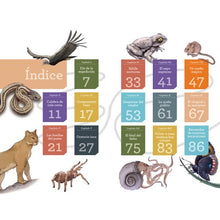 Cargar imagen en el visor de la galería, Bichología
