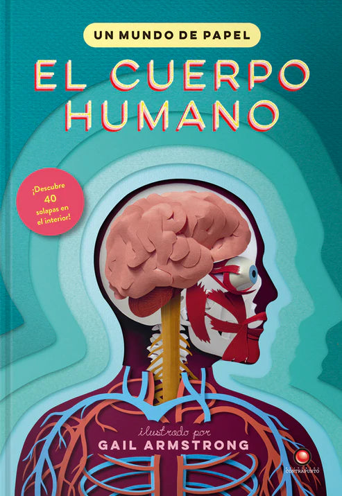 El cuerpo humano. Un mundo de papel - Gail Armstrong