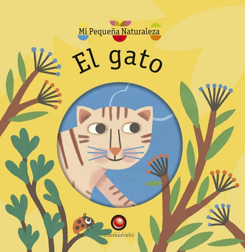 El gato - Magali Attiogbe