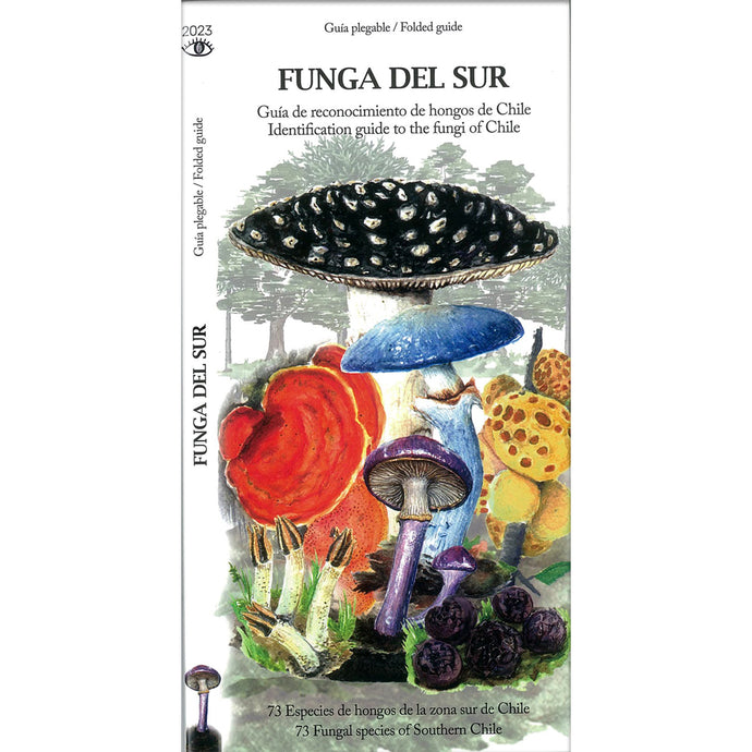 FUNGA DEL SUR