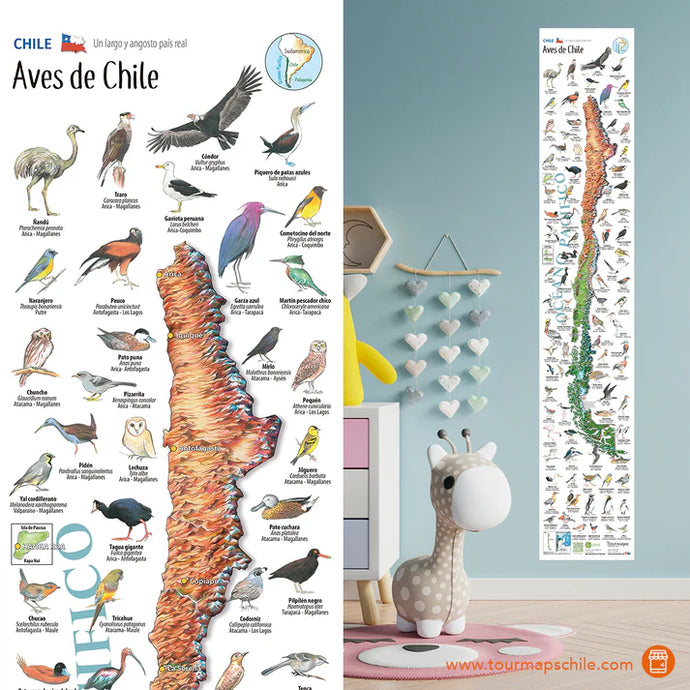 MAPA AVES DE CHILE