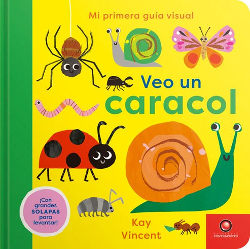 Veo un caracol Mi primera guía visual - Kay Vincent