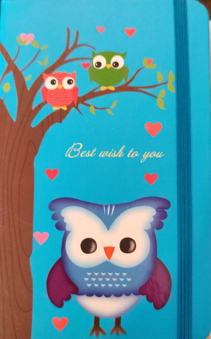 Libreta celeste búho mediana