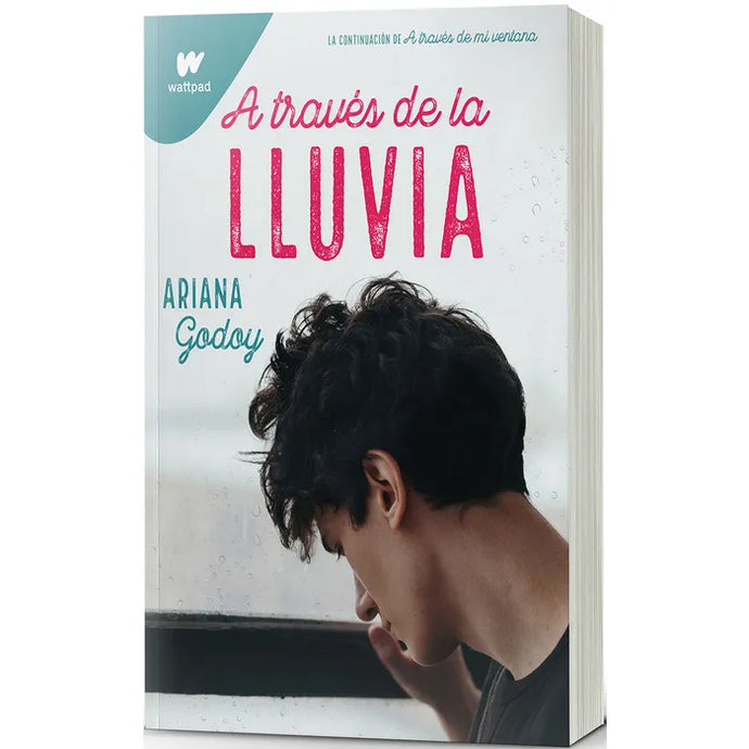 A través de la lluvia - Ariana Godoy