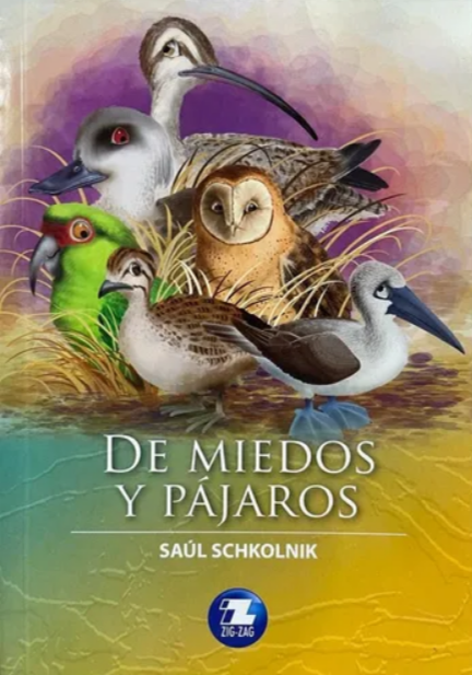 De miedos y pájaros - Saul Schkolnik
