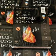 Cargar imagen en el visor de la galería, Mini Netter- Atlas De Anatomía Humana 7° Ed. Nuevo/original
