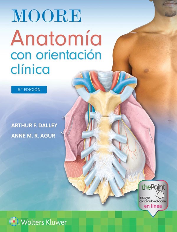 Moore: Anatomía con orientación clínica