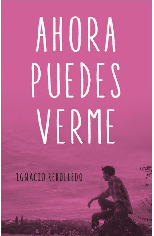 Ahora puedes verme - Ignacio Rebolledo