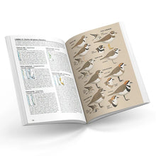 Cargar imagen en el visor de la galería, Aves de Chile - Álvaro Jaramillo
