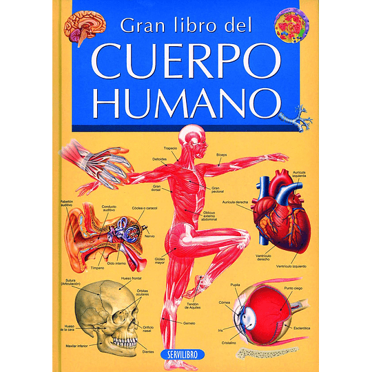 El gran libro del cuerpo humano (TD)