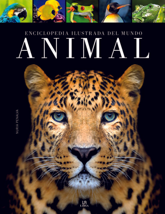 Enciclopedia ilustrada del mundo animal (TD) - Nuria Penalva