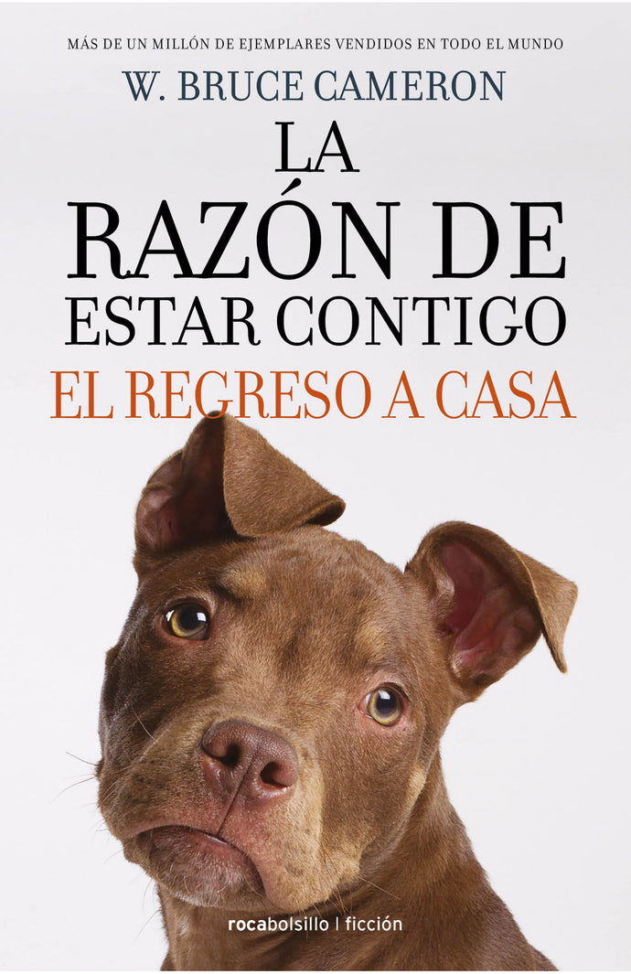 El regreso a casa - W. Bruce Cameron