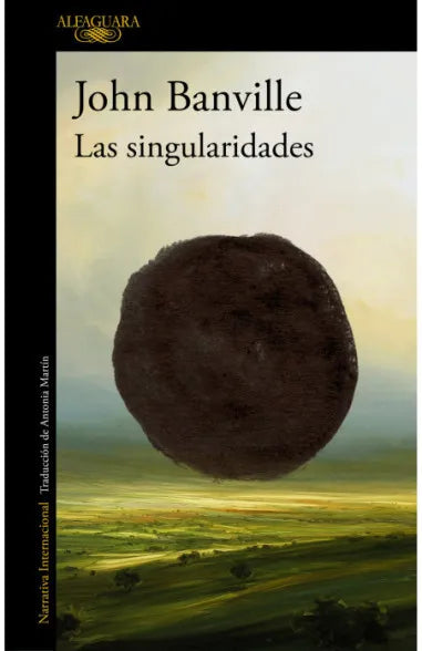 Las singularidades - John Banville