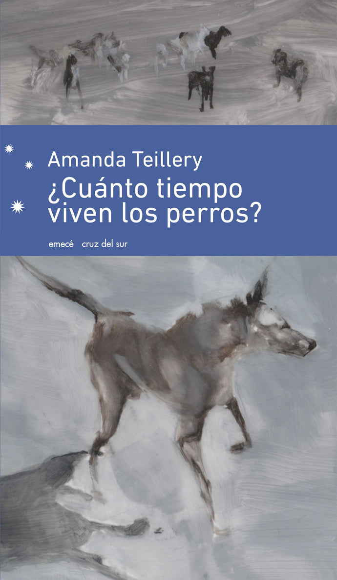 ¿Cuánto tiempo viven los perros? - Amanda Teillery
