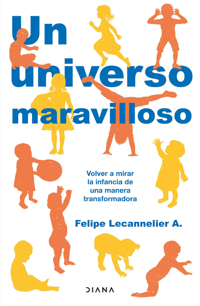 Un universo maravilloso - Felipe Lecannelier