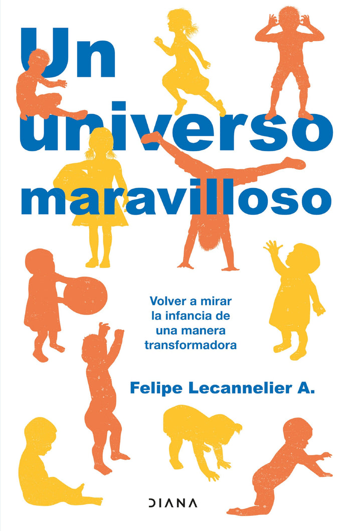 Un universo maravilloso - Felipe Lecannelier